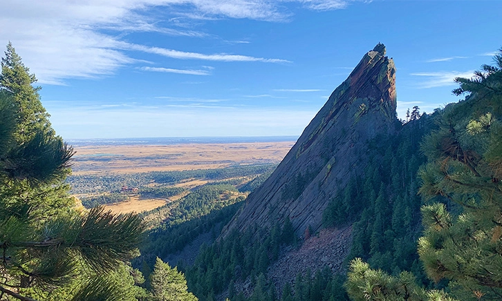 Quarterly Trading Report